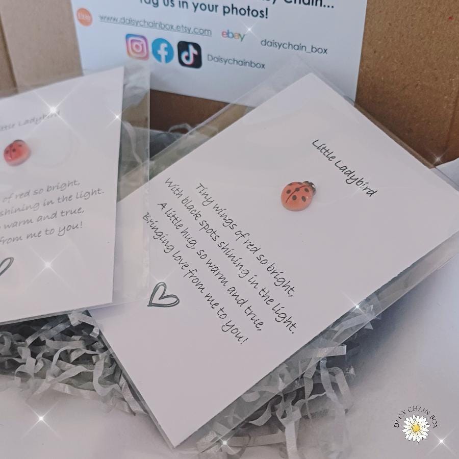 Ladybird Pocket Hug – Mini Keepsake Gift, Hug in the Post, Thinking of You Token, Letterbox Gift, Small Gift for Friend, Lucky Charm