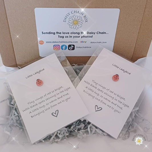 Ladybird Pocket Hug – Mini Keepsake Gift, Hug in the Post, Thinking of You Token, Letterbox Gift, Small Gift for Friend, Lucky Charm