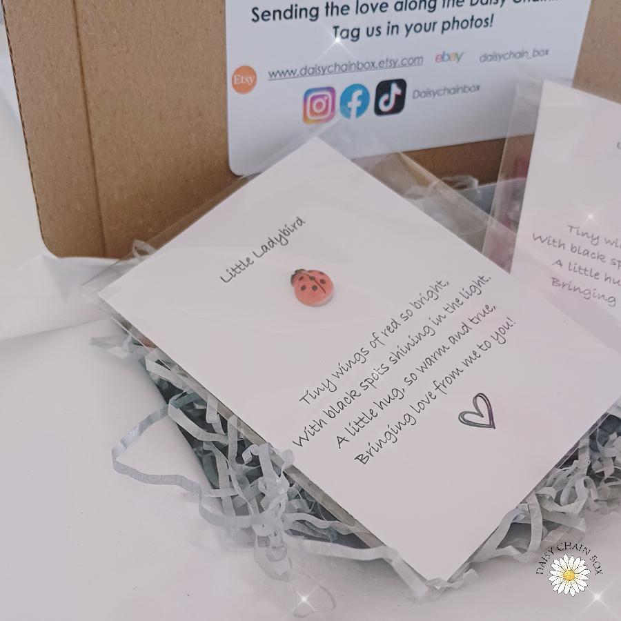 Ladybird Pocket Hug – Mini Keepsake Gift, Hug in the Post, Thinking of You Token, Letterbox Gift, Small Gift for Friend, Lucky Charm