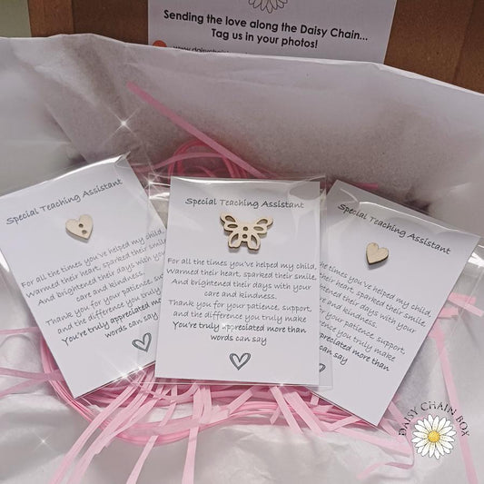 Special Teaching Assistant Pocket Hug - Variety | Thank You Gift | End of Term Token | TA Appreciation Keepsake | Teaching Assistant Gift
