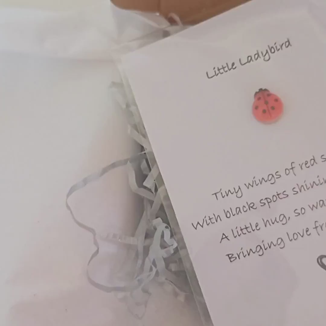 Ladybird Pocket Hug – Mini Keepsake Gift, Hug in the Post, Thinking of You Token, Letterbox Gift, Small Gift for Friend, Lucky Charm